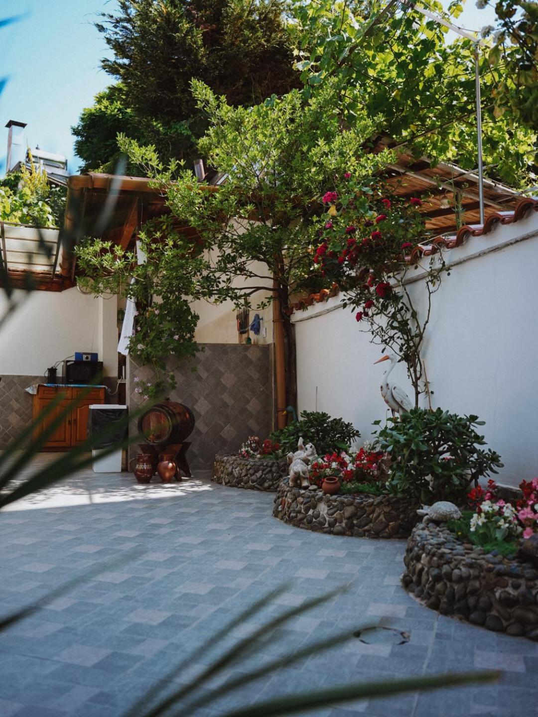 Sarievi Holiday Home تساريفو المظهر الخارجي الصورة
